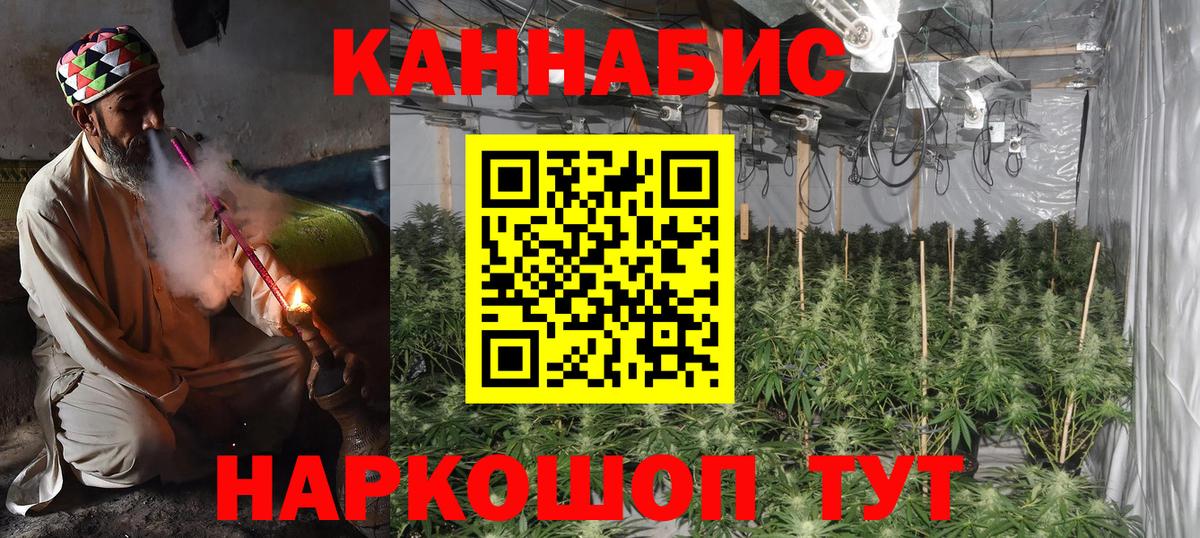 Каннабис планчик  Вход с VPN  МАРИХУАНА конопля  Конопля OG Kush  Сланцы  Бошки Шишки Amnesia 